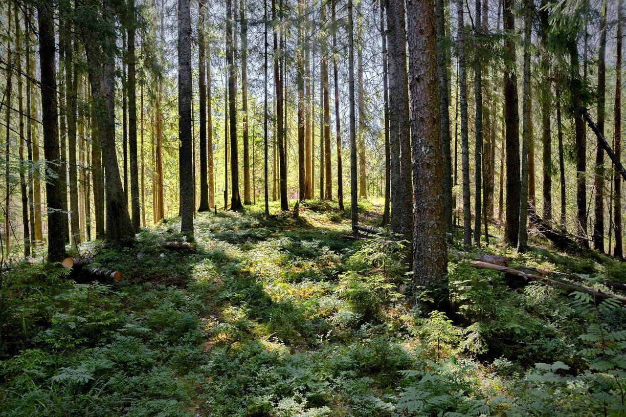 Загородные дома Kārkliņi Rāmuļi-38